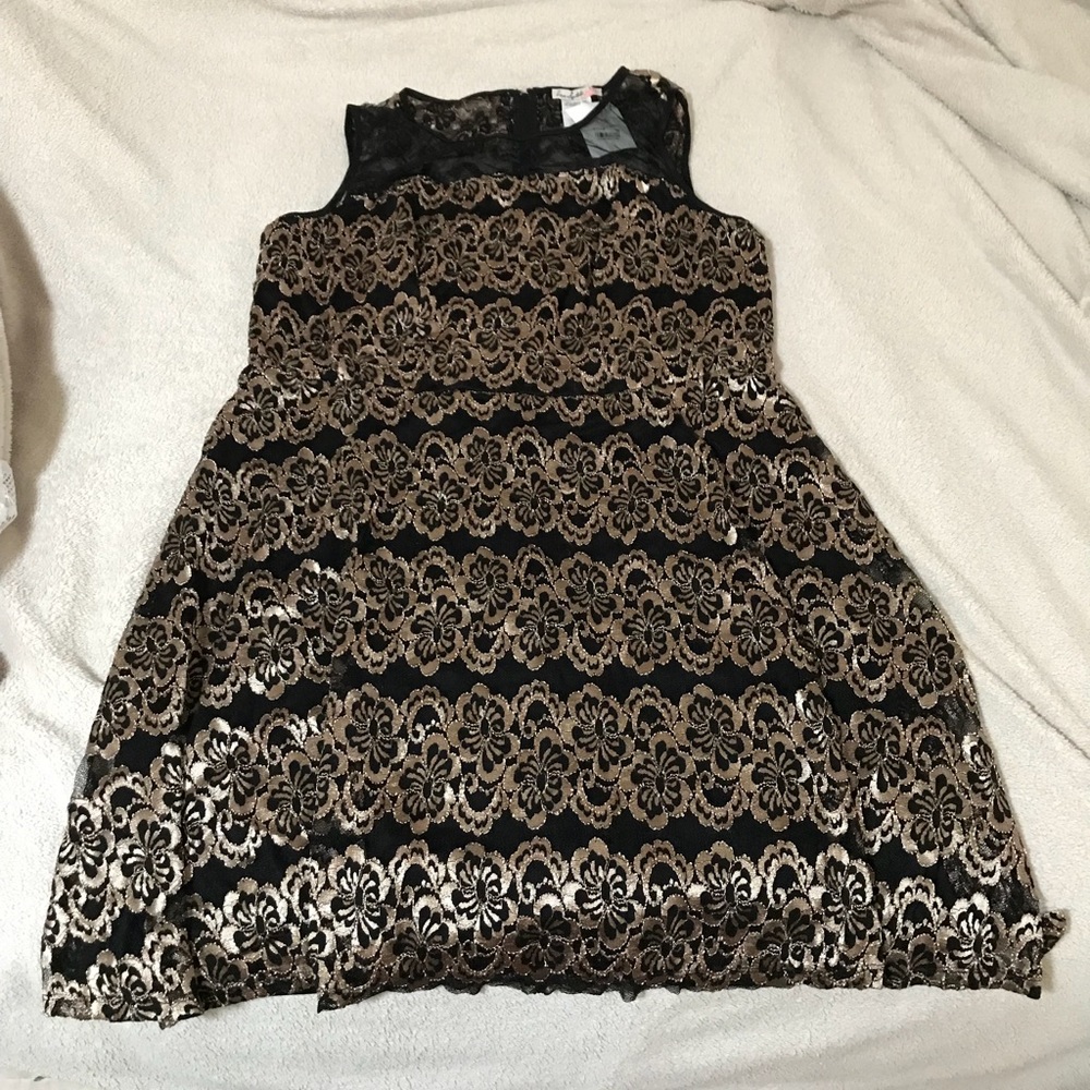 Love Squared Gold/Black Lace w/ Mesh Dress